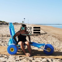 Cadeira de Rodas de Praia Oceanic Sun Beach